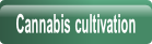 Cannabis cultivation.