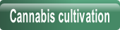 Cannabis cultivation.