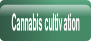 Cannabis cultivation.